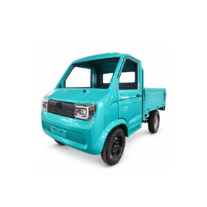 Leika Electric Pickup